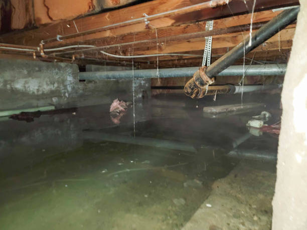 Best Flooded house restoration  in East Dublin, GA