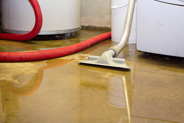 Best Mold removal after water damage  in East Dublin, GA