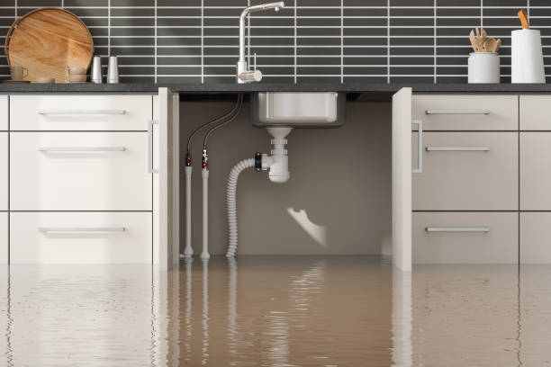 Best Carpet water damage restoration  in East Dublin, GA
