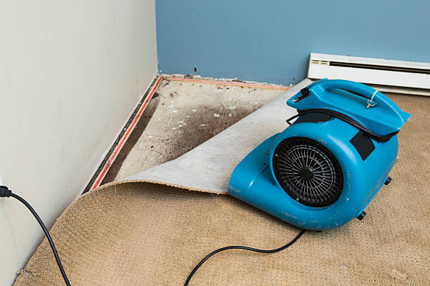 Best Water damage cleanup near me  in East Dublin, GA